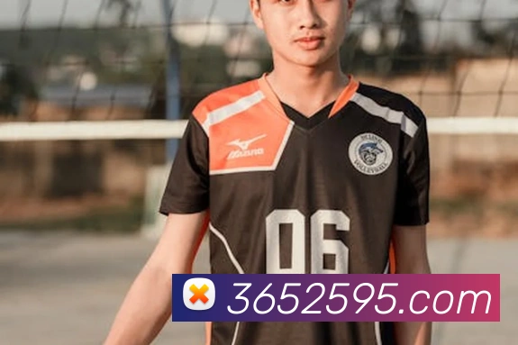 互动解说服务